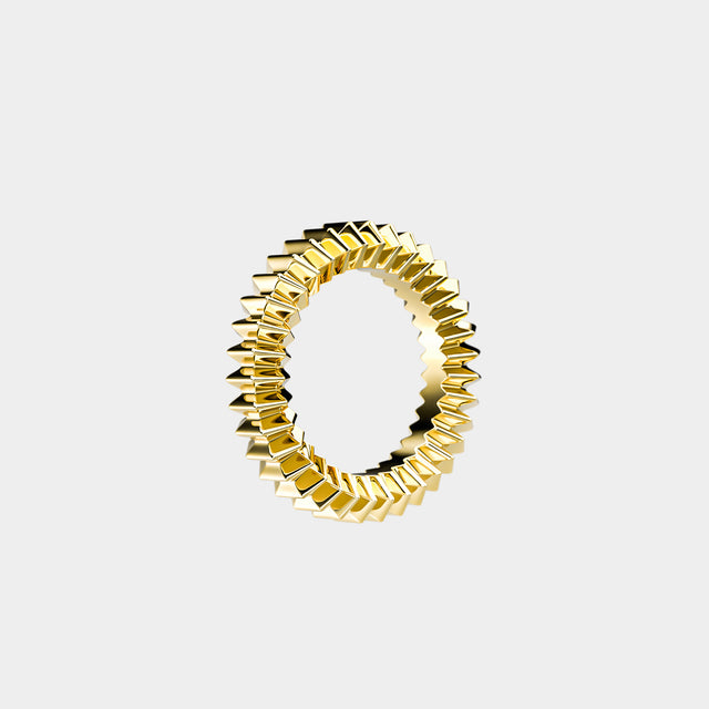 ZIG Ring