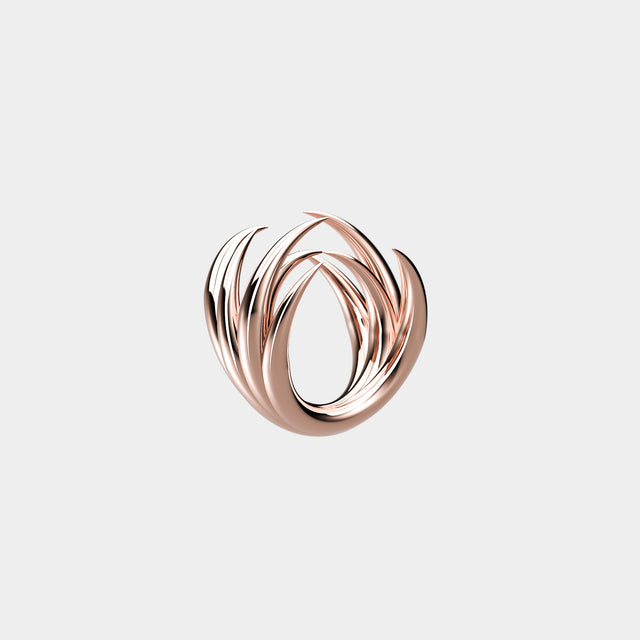 POI Ring