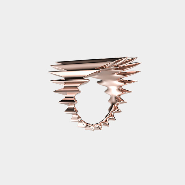 RAY Ring