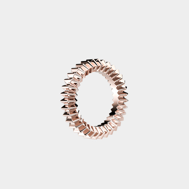 ZIG Ring