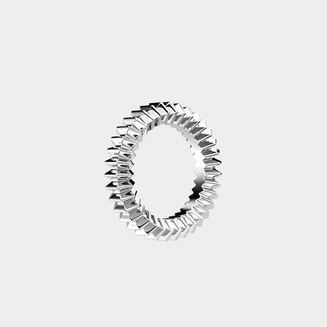 ZIG Ring