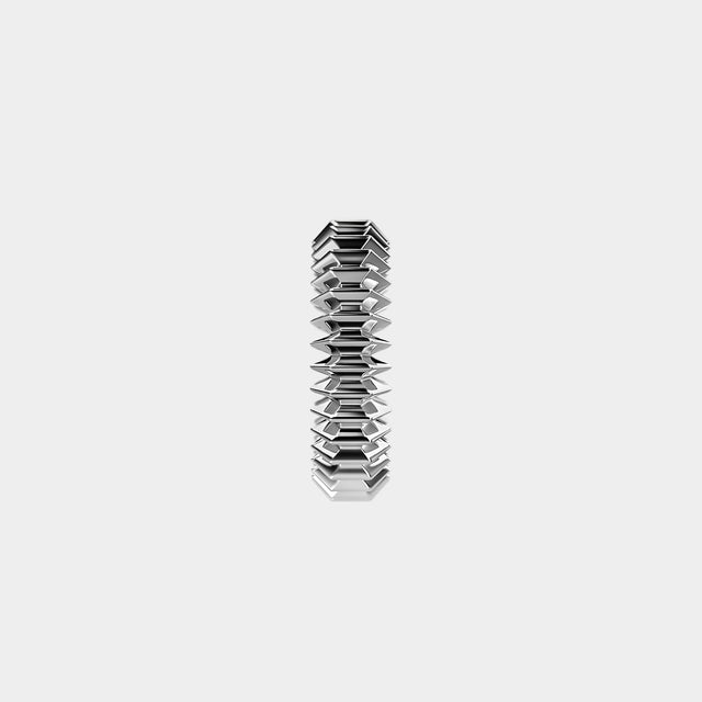 ZIG Ring