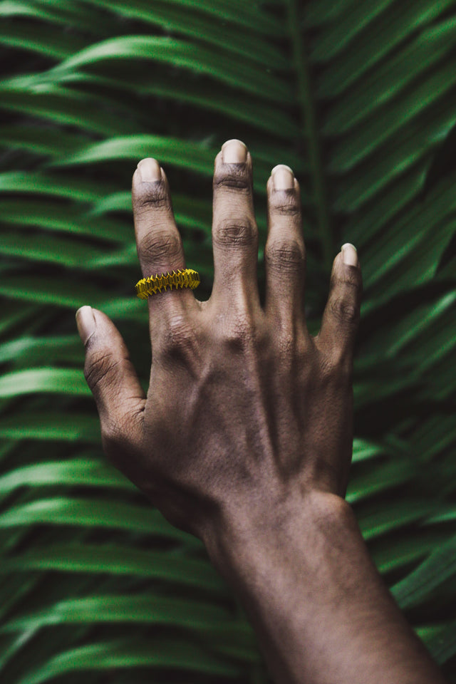 ZIG Ring